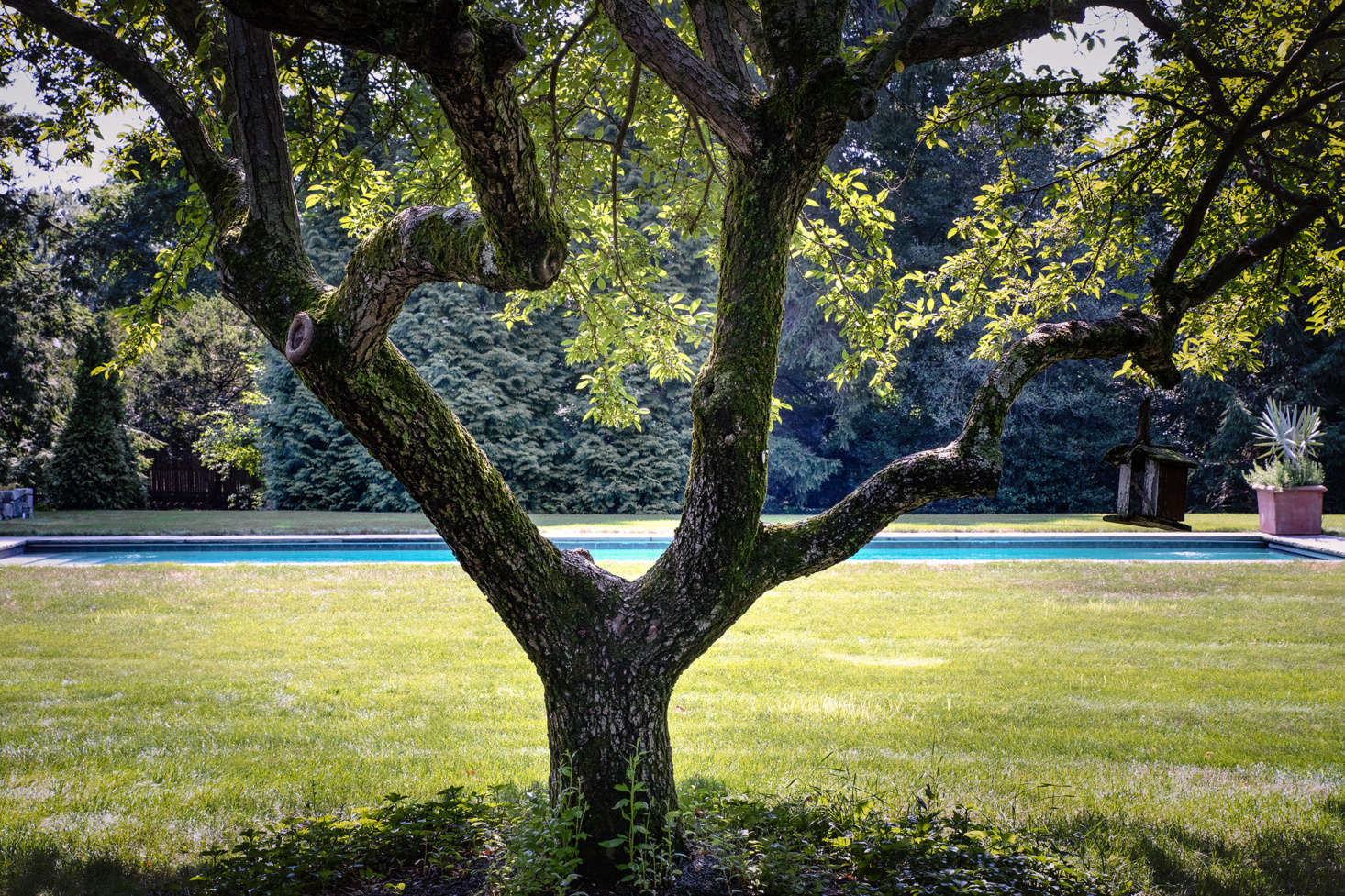 Its edges flush with the ground, the pool blends seamlessly into the lawn.