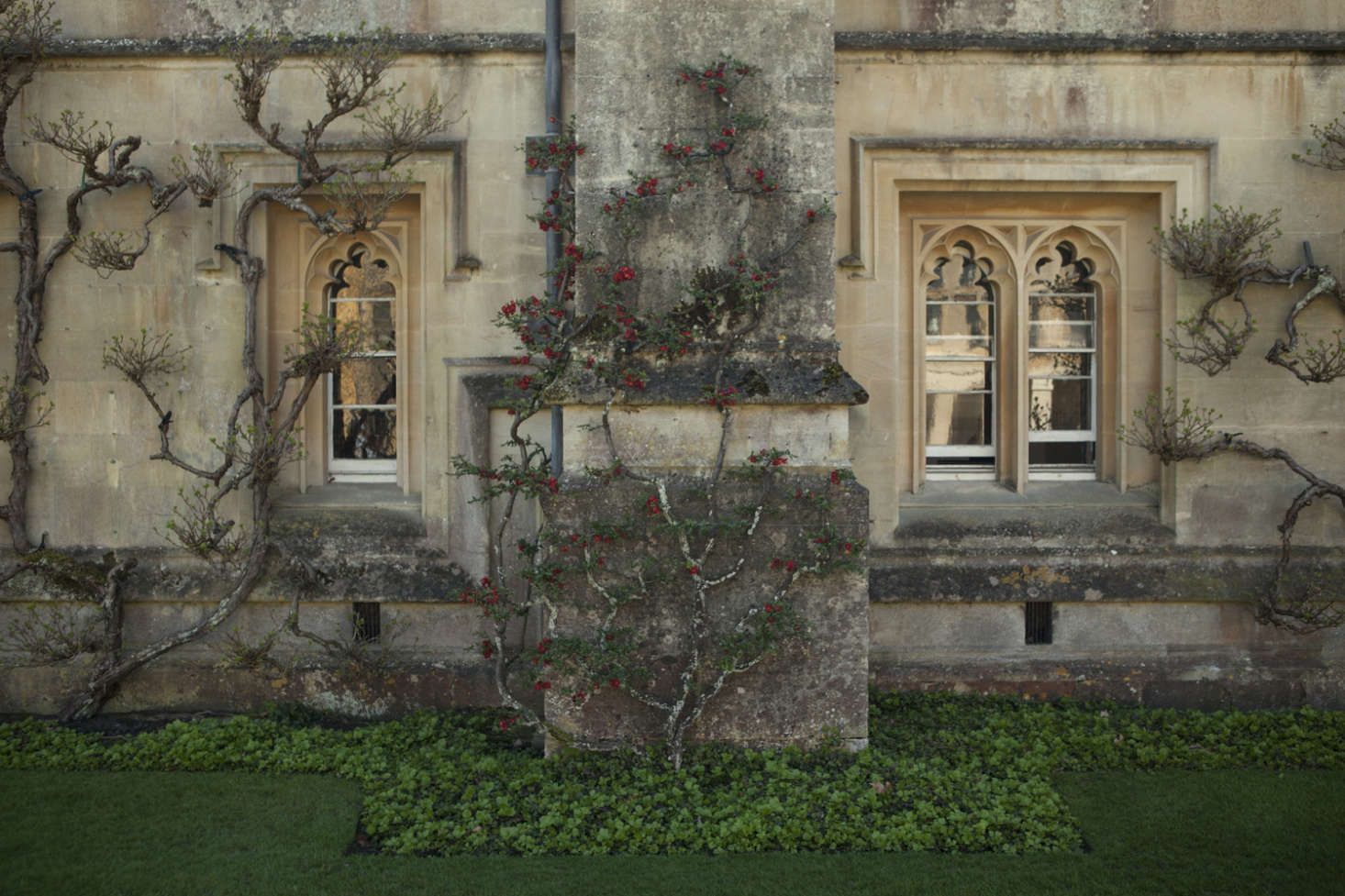 First on that to-do list? Pruning shrubs and trees. Photograph by Jim Powell for Gardenista, from The Secret History: A Master Class in Gothic Pruning.