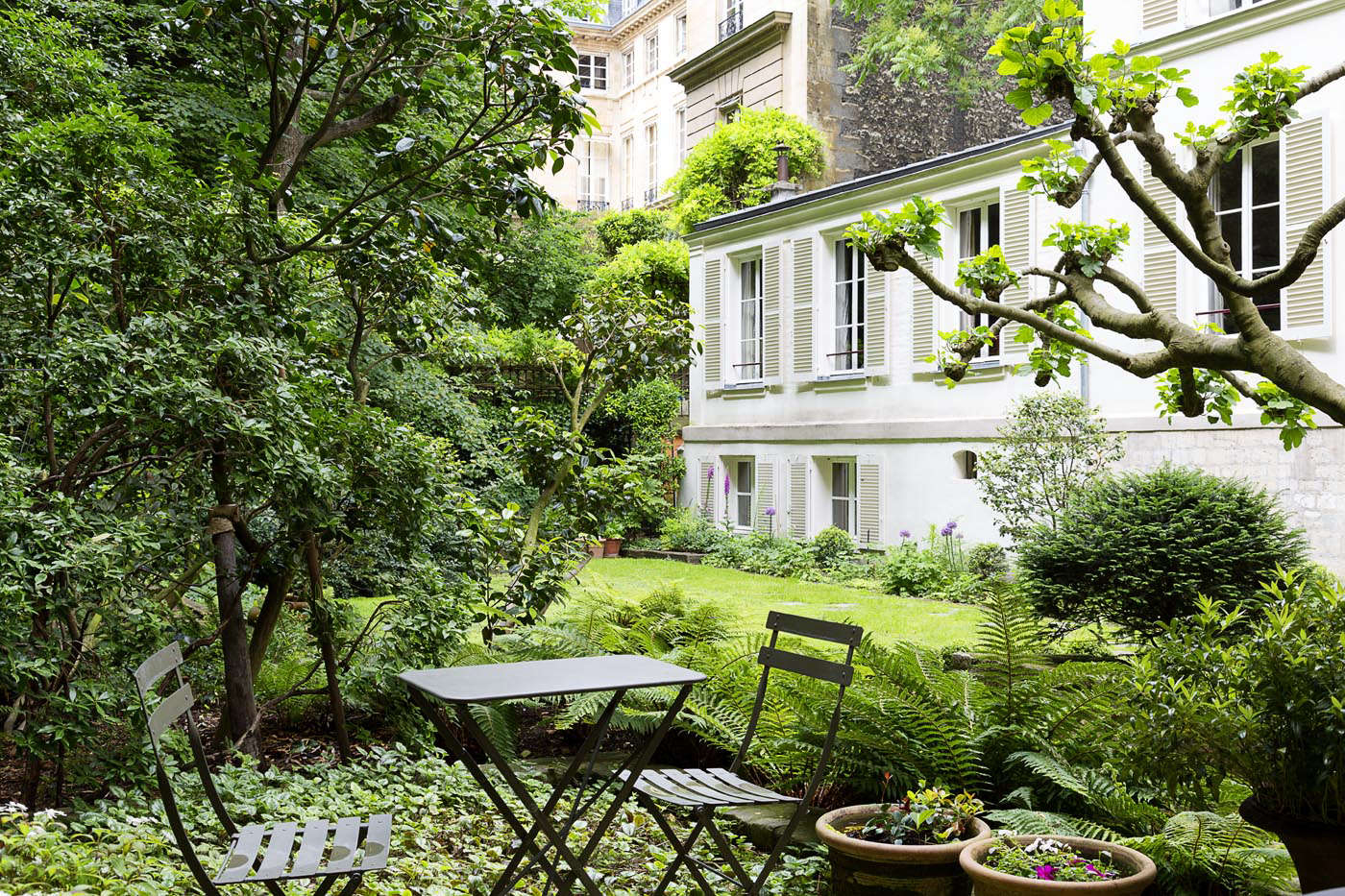 Ferns delineate areas of the garden without blocking views.