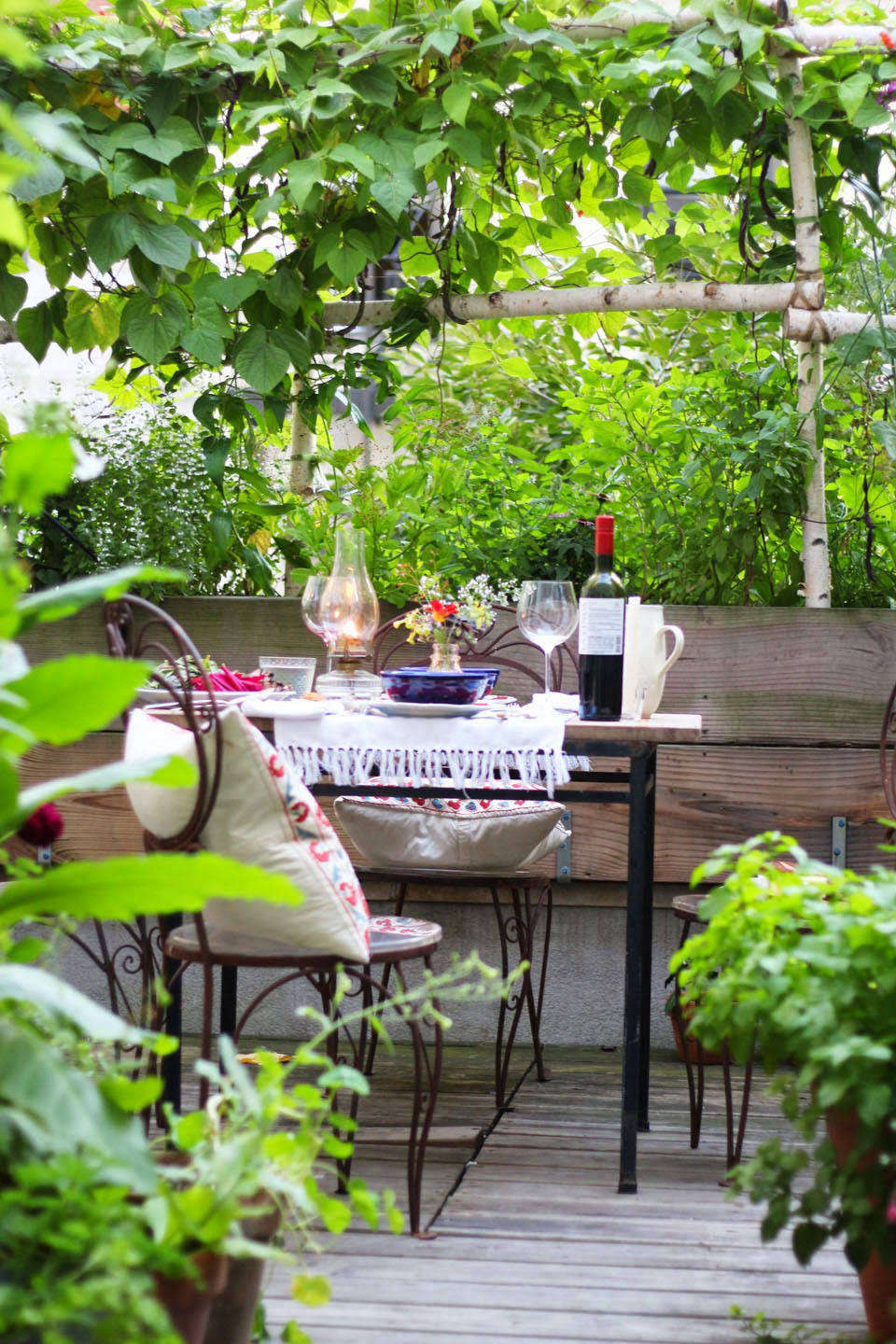 When I needed a privacy screen on our Harlem terrace, I chose pole beans to climb up a rustic birch log support.