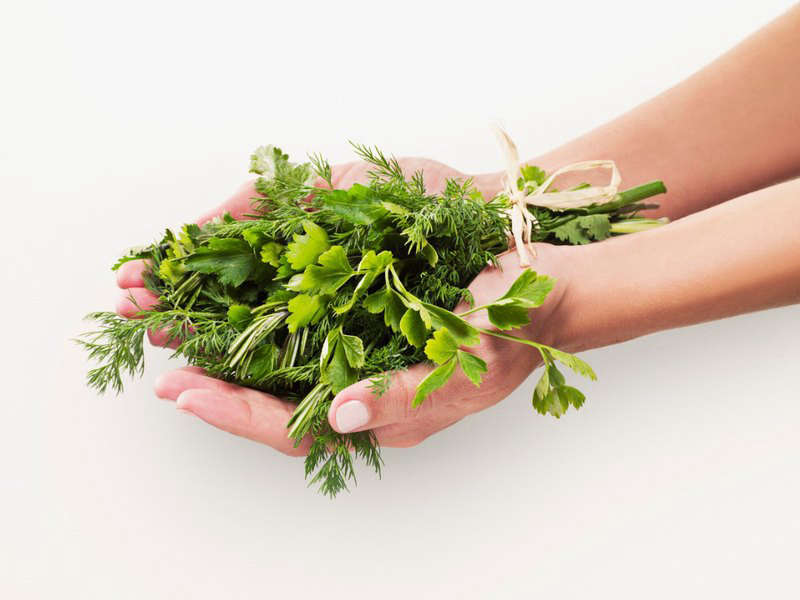A Cocktail Garden Kit With Herb Plants comes with four seedlings in 4-inch pots. Current selections include lemon thyme, rosemary, and two varieties of mint; $39.