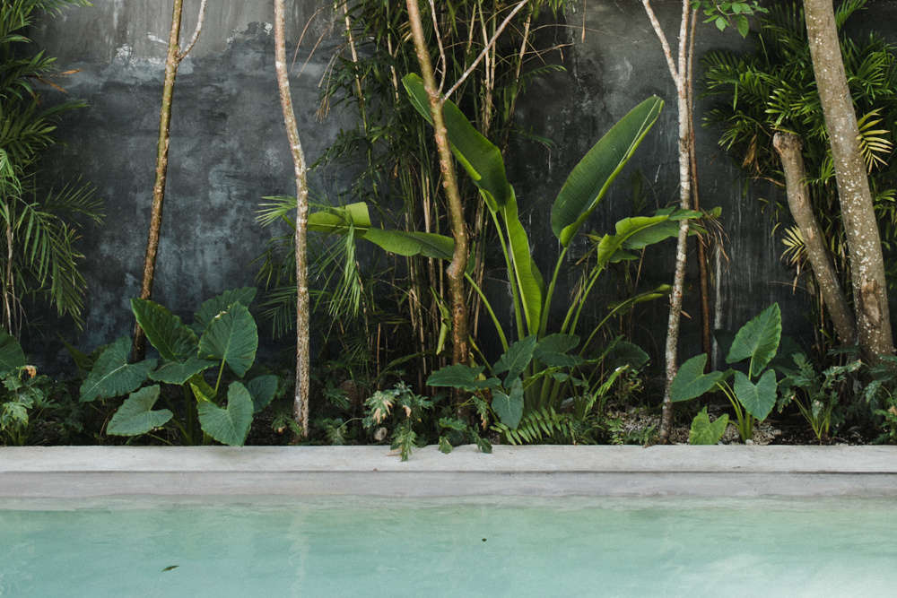Thinking of heading to warmer climes? Consider Casa Pueblo in Tulum, which Fan profiled on Remodelista this week, with a saltwater pool, a jungle of tropical plants, and surprisingly affordable rates.