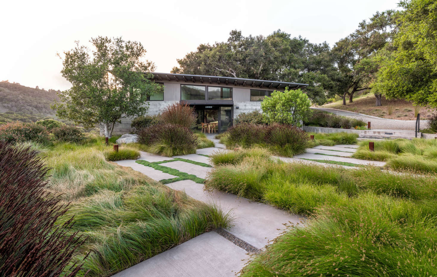  Between the pavers grows a carpet of evergreen creeping thyme (Thymus serpyllum &#8