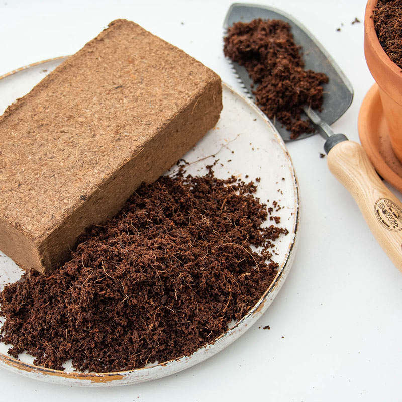 Sold in blocks that will expand into fluffy coir when you add water, Coir Bricks are $5.95 from Spring Hill Nurseries.