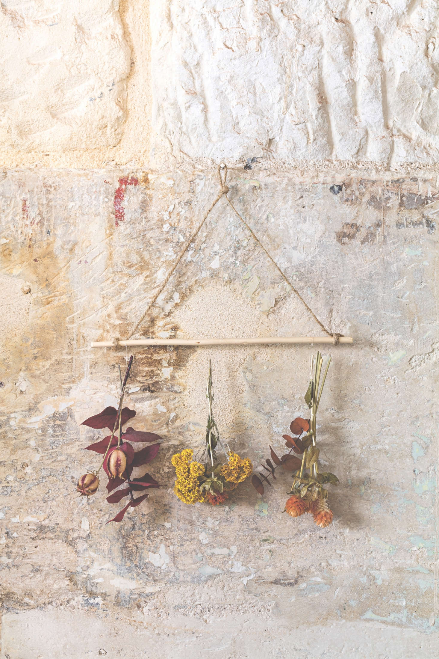 The book also shows us how to capture some of spring and summer’s color-rich flowers to enjoy year round by hanging small bunches onto a simple wooden rod as a wall hanging.