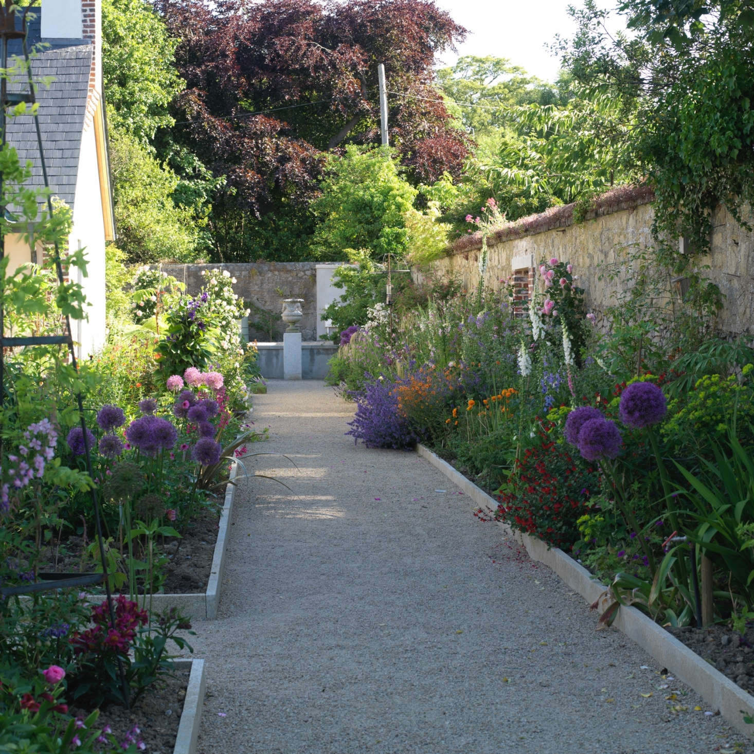 A large urn at the end of a walkway creates a visual destination. Bordering the gravel path are a mix of cottage garden favorites, including white foxgloves and purple alliums.