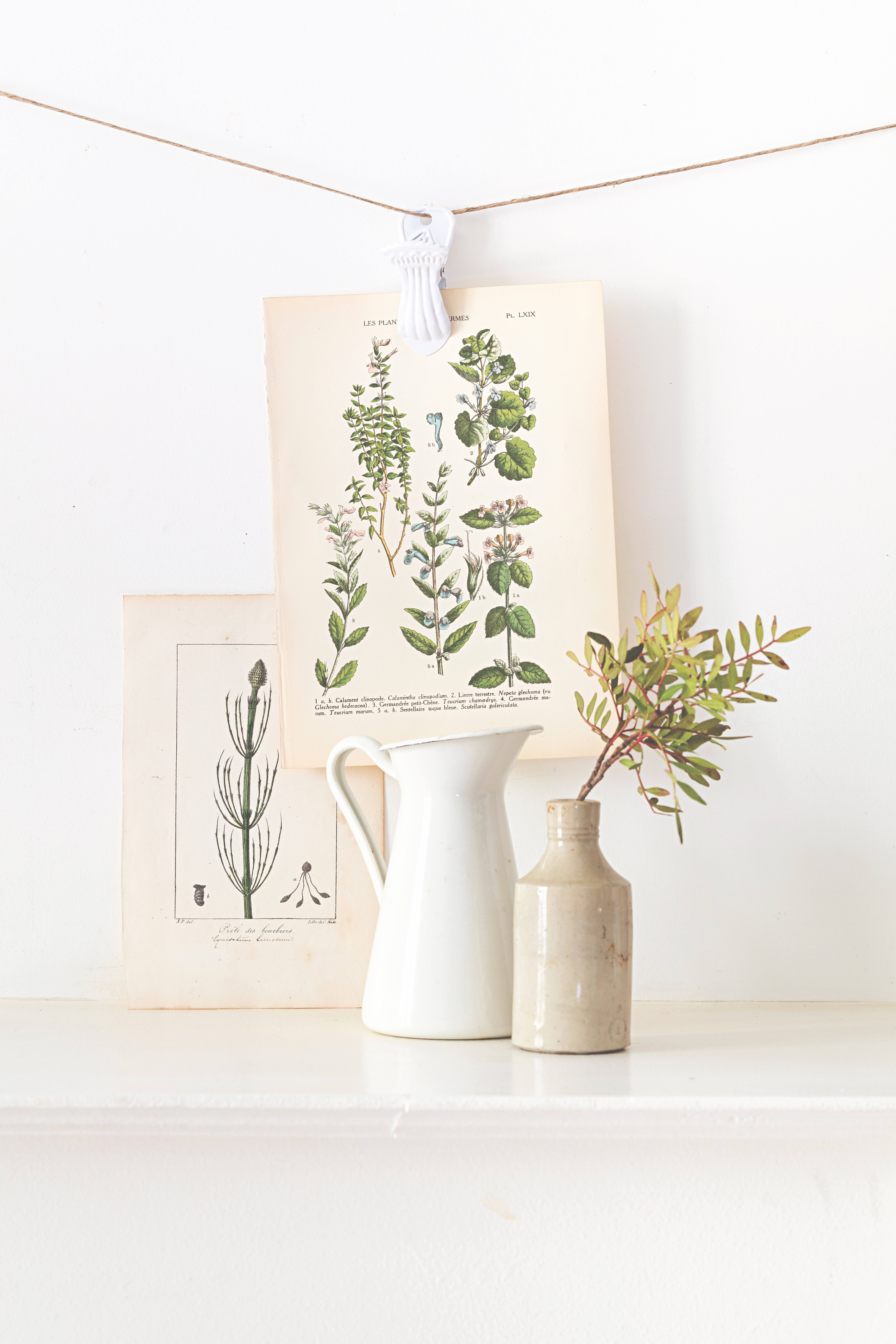 Unsurprisingly, Soulayrol has great styling tips too—such as adorning your walls with vintage botanical prints or engravings in a makeshift wall paper, or hanging them individually from twine.