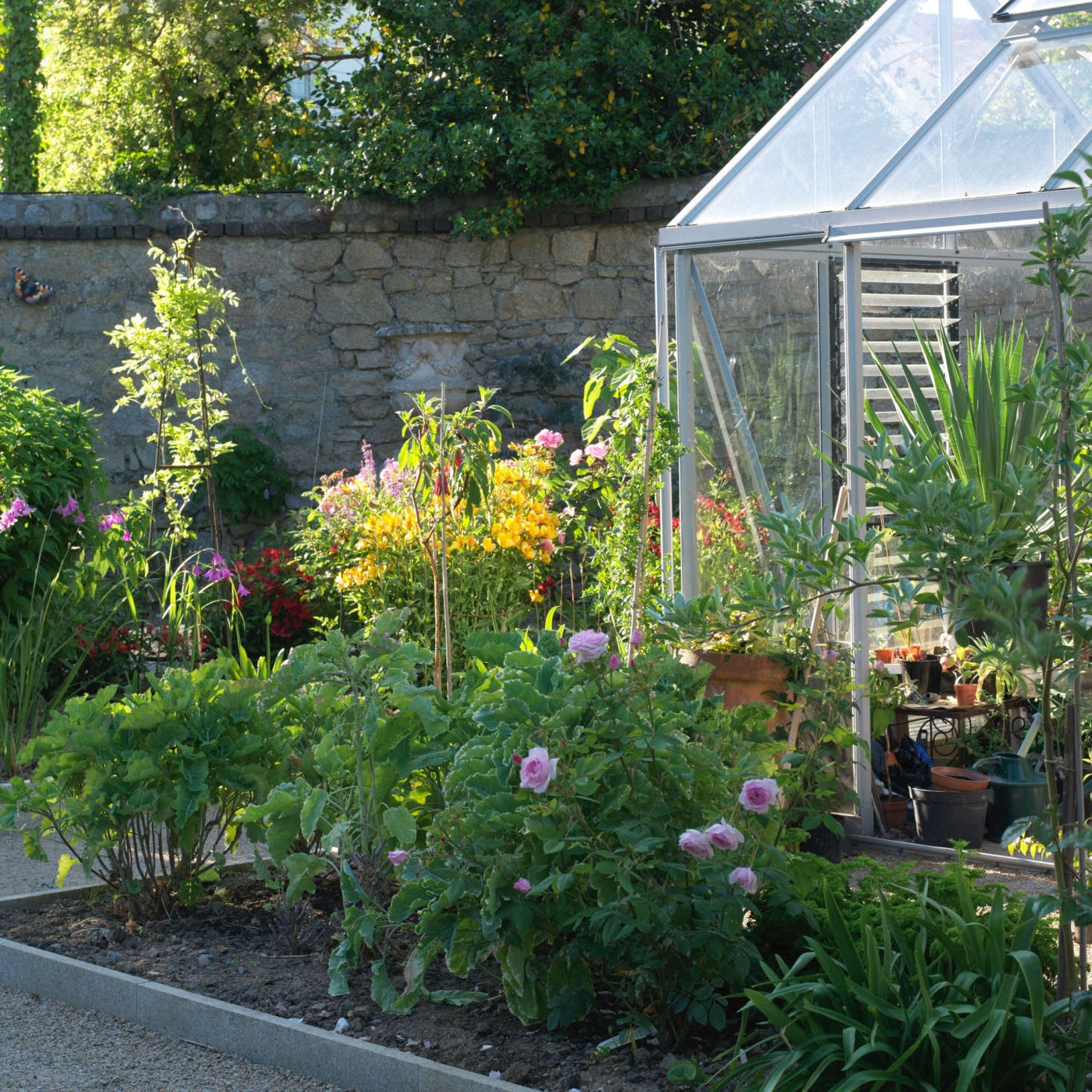 A glasshouse provides an extra layer of protection for tender tropical plants.
