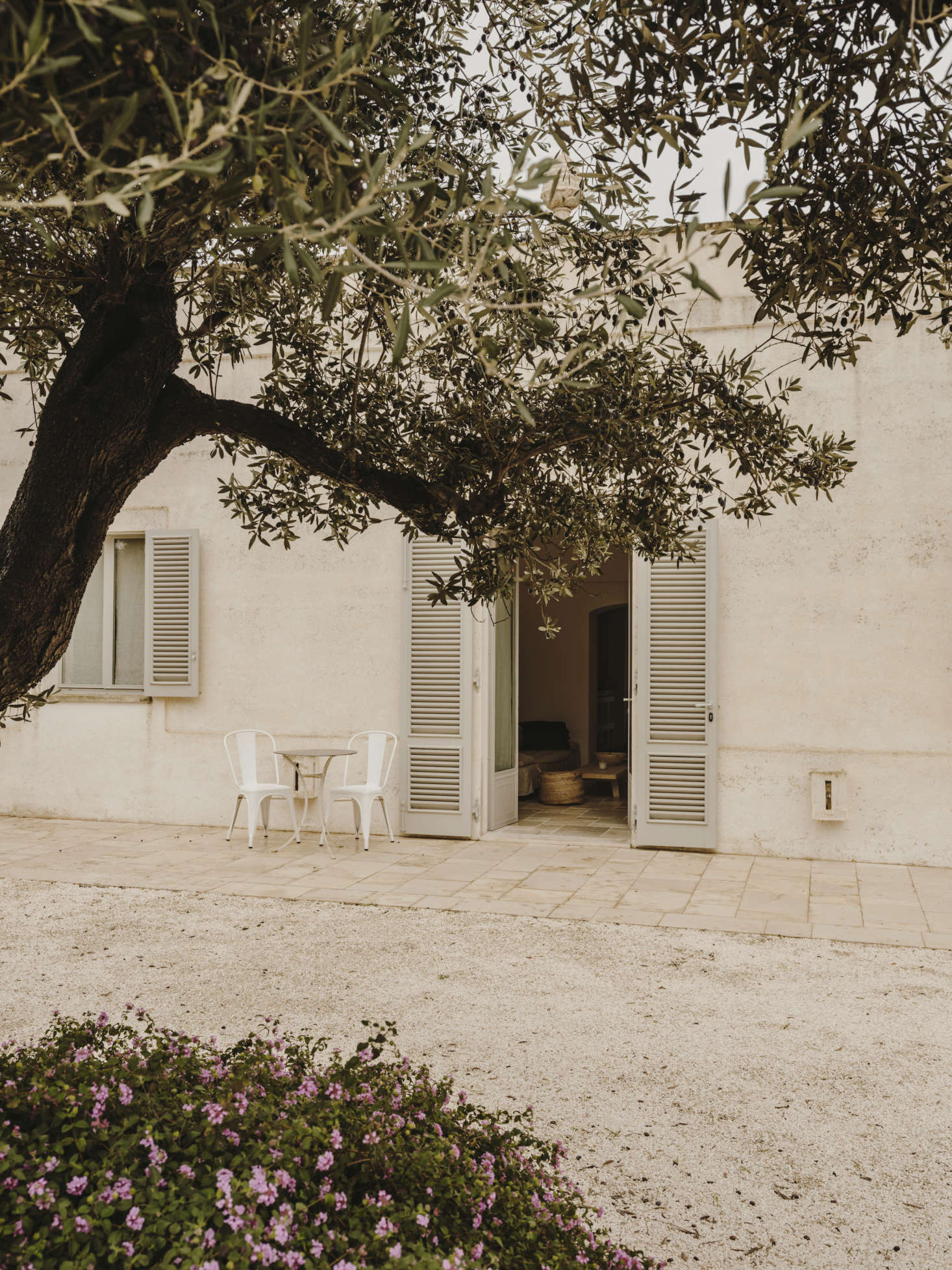 At Villa Castelluccio in the countryside of Puglia, remodeled by architect Andrew Trotter, gravel courtyards shaded by olive trees invite guests into the garden. Photograph by Salva López.