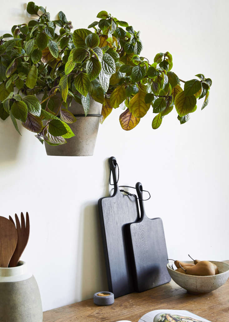 Decorating With Plants 6 Ideas To Steal From A New Book By