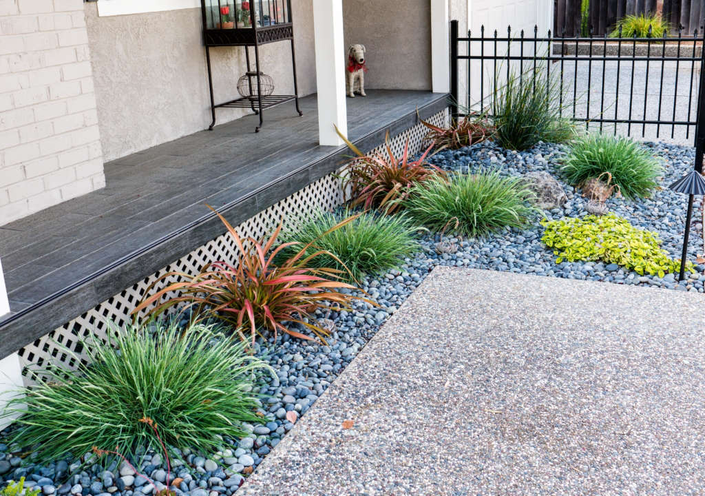 From Junipers to Colorful Front Yard - Gardenista