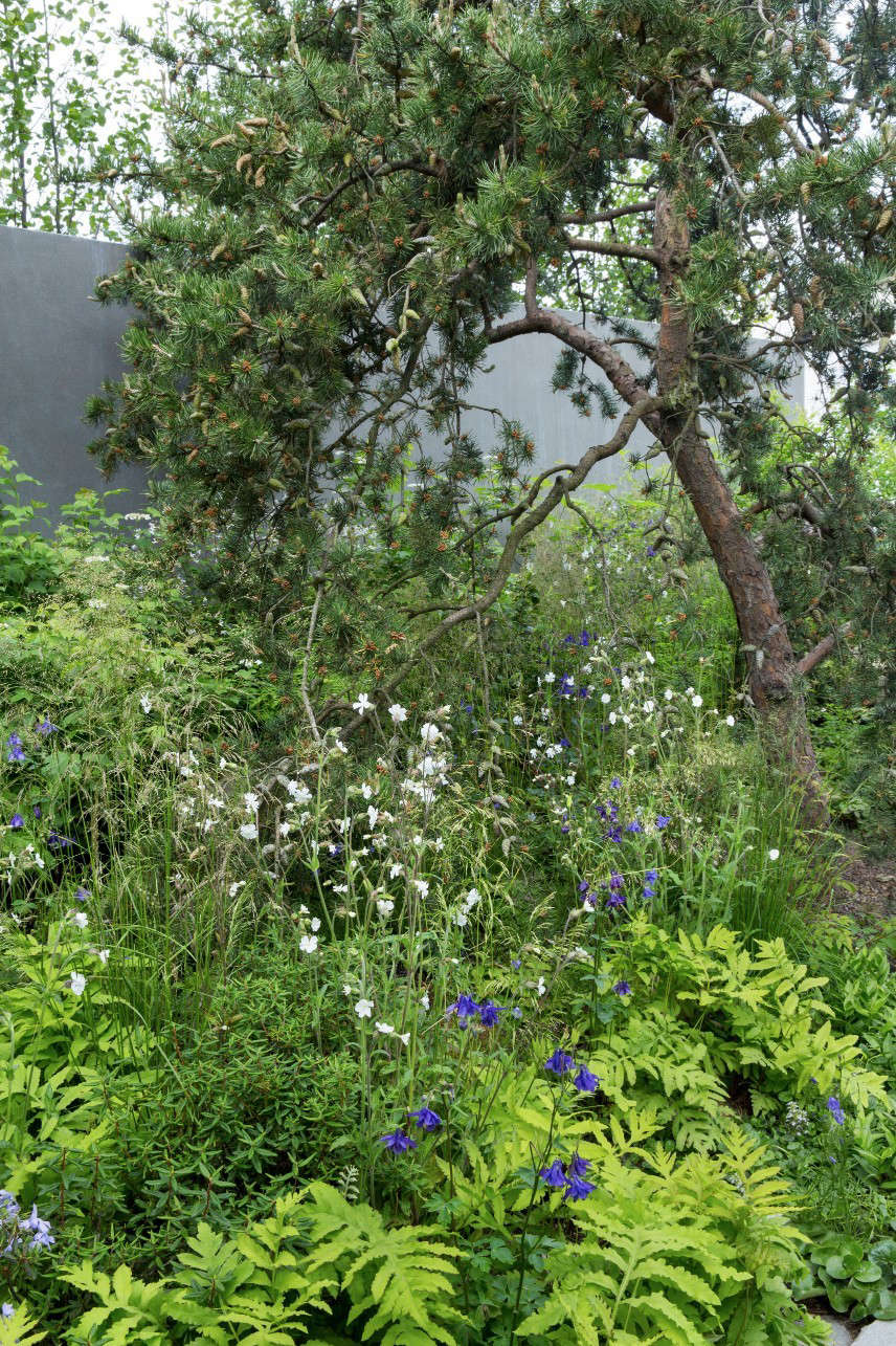 Photograph by Marianne Majerus courtesy of Harris Bugg Studio. See more of this garden in our 2017 Gardenista Considered Design Awards.